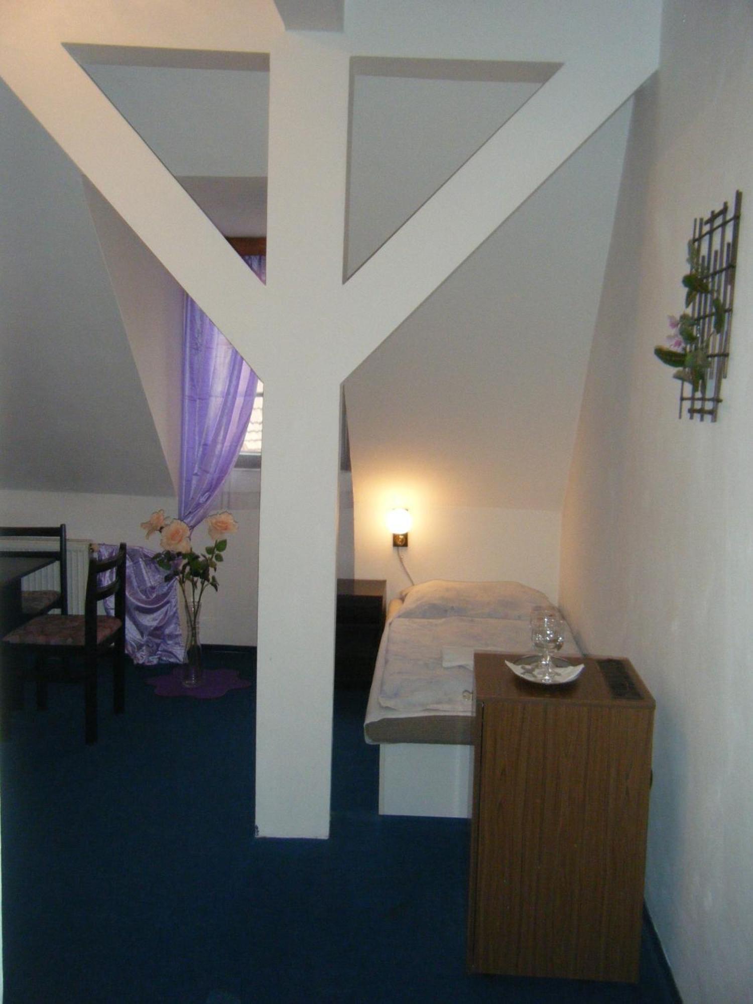 Hotel Parkan Prachatice Rum bild
