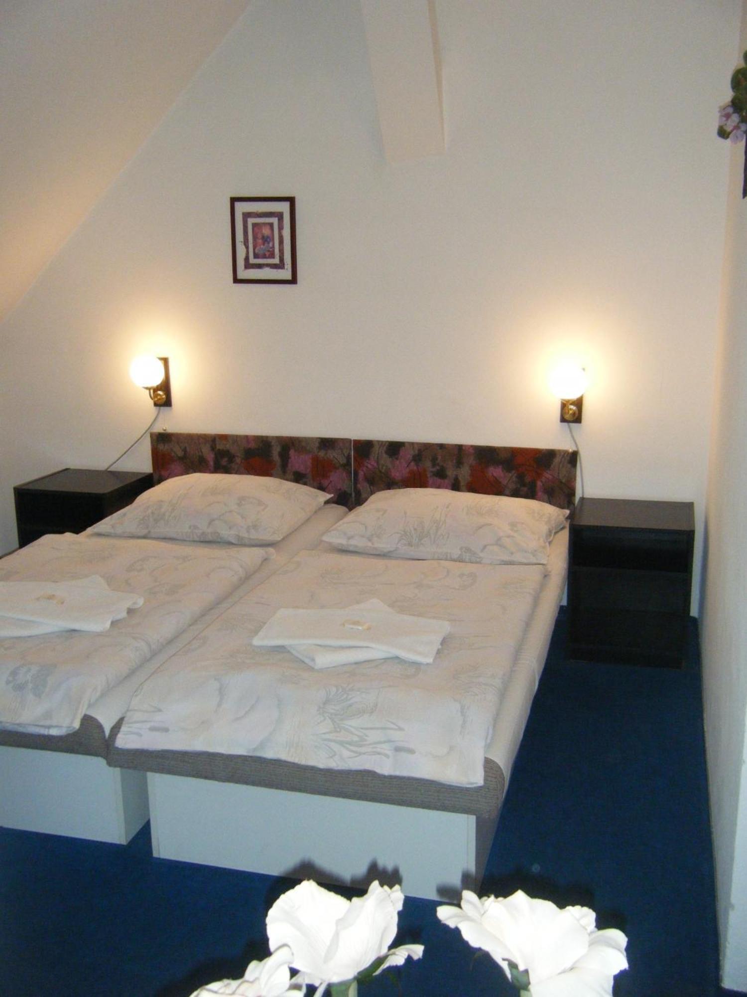Hotel Parkan Prachatice Rum bild
