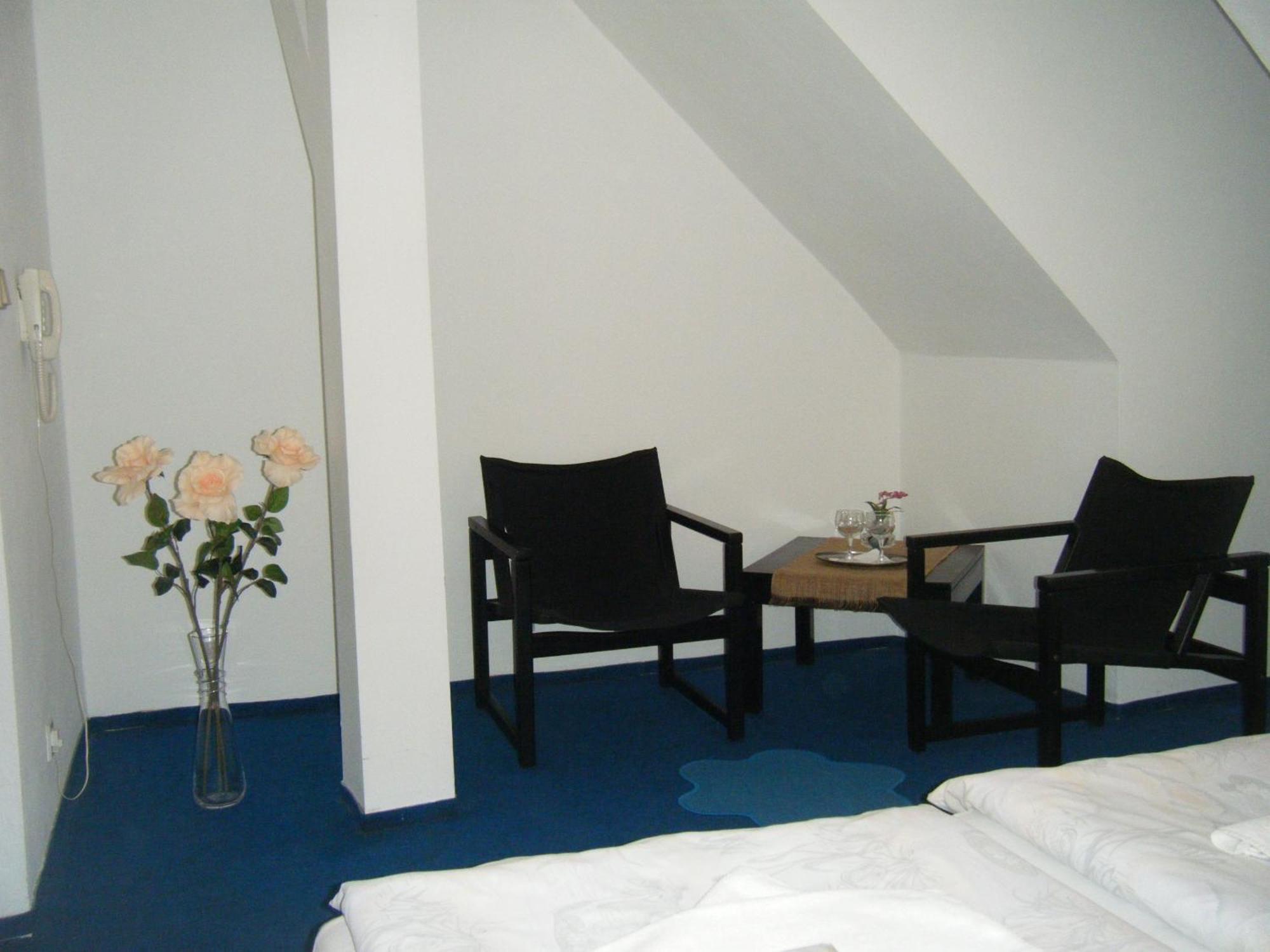 Hotel Parkan Prachatice Rum bild
